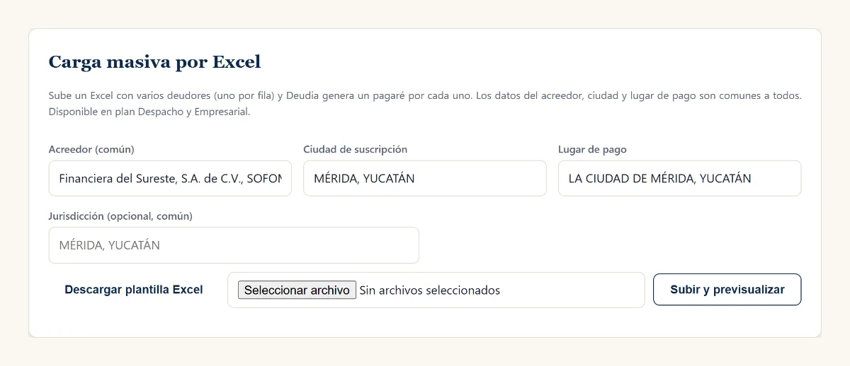Carga masiva por Excel